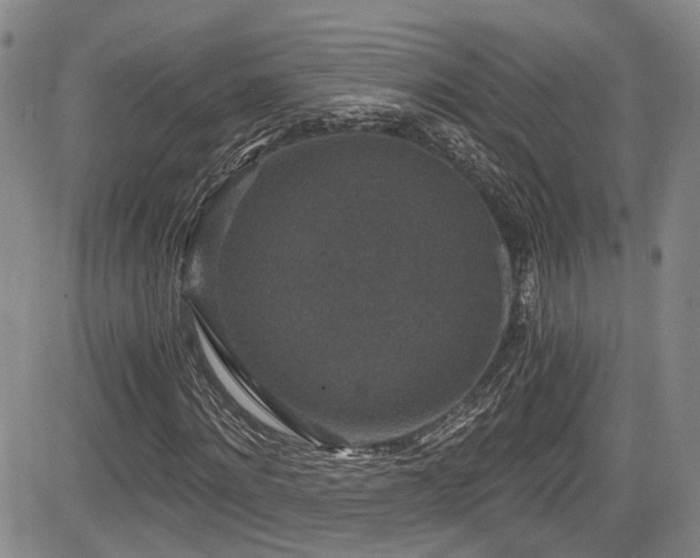 X0000084040868200702161432