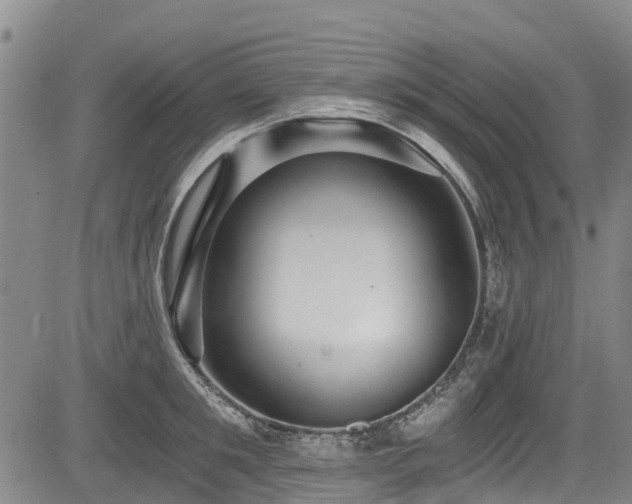 X0000084040901200702161431