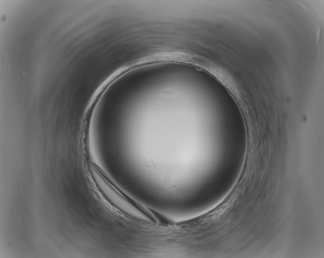 X0000084040912200702161431