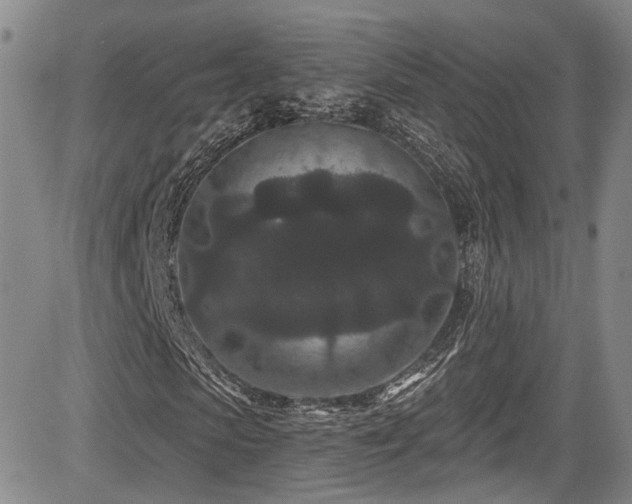 X0000084040913200702161430