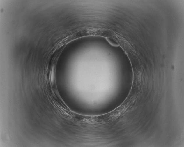 X0000084040914200702161430