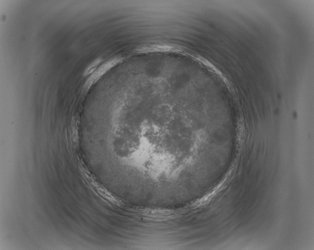 X0000084040921200702161430