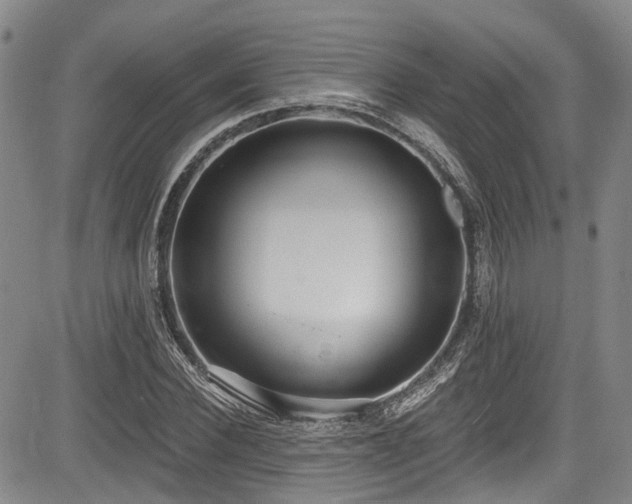 X0000084040924200702161431