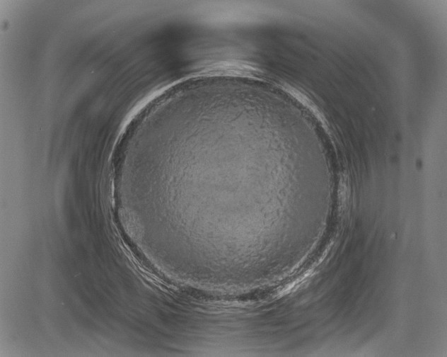 X0000084040925200702161431