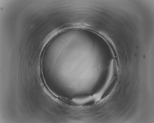 X0000084040941200702161431