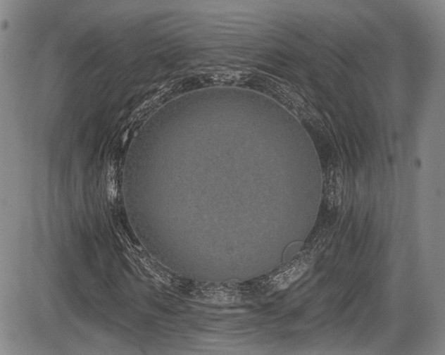 X0000084040962200702161430