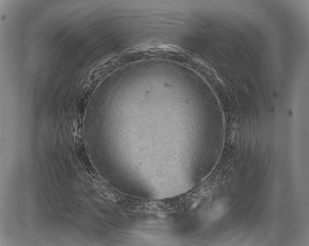 X0000084040966200702161430