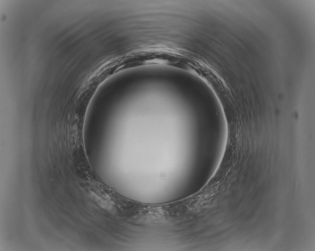 X0000084040968200702161430