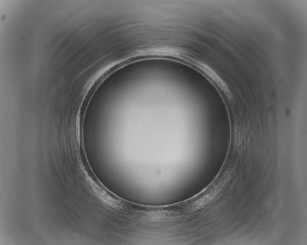 X0000084040988200702161430