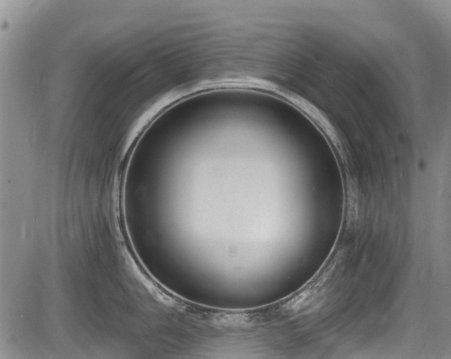 X0000084041006200702161430