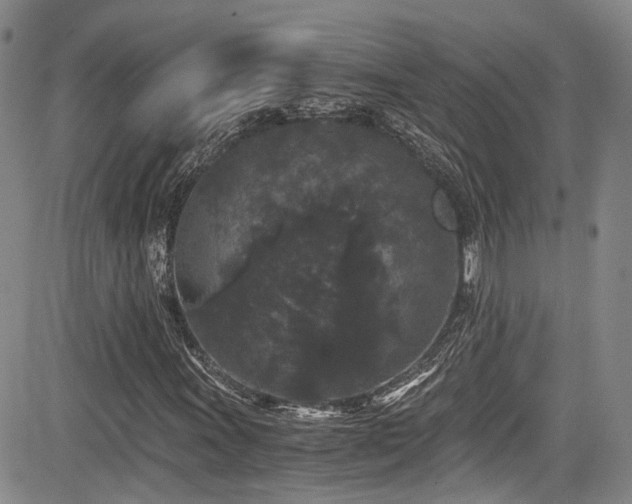 X0000084041011200702161429