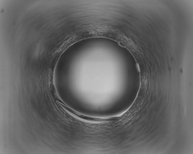 X0000084041012200702161429
