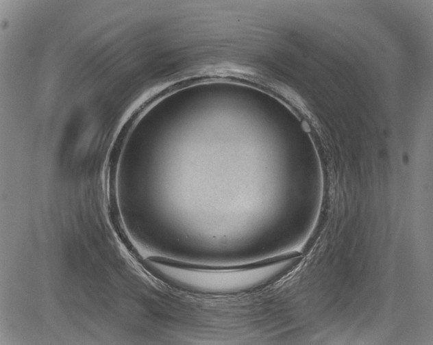 X0000084041032200702161429
