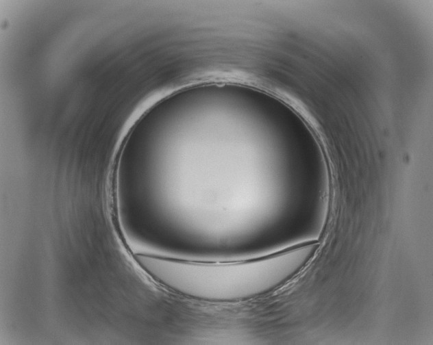 X0000084041056200702161430