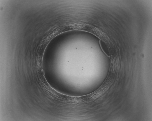 X0000084041058200702161429