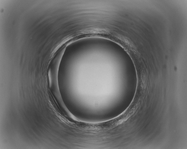 X0000084041073200702161429