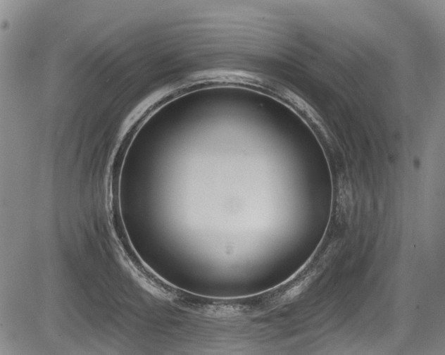 X0000084041082200702161428