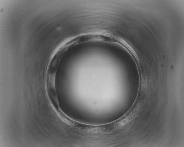 X0000084041093200702161428