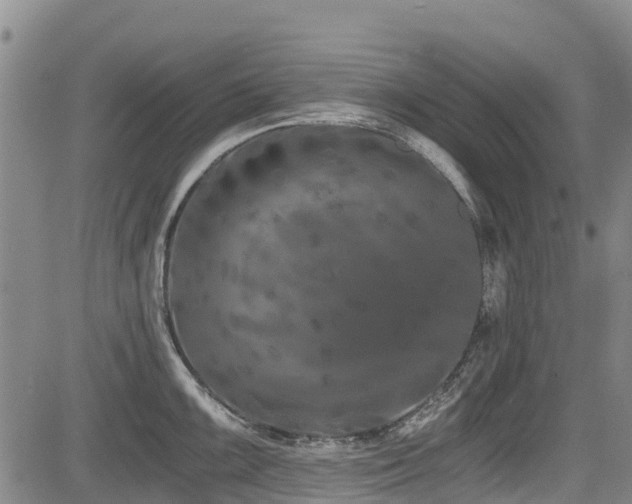 X0000084041099200702161428