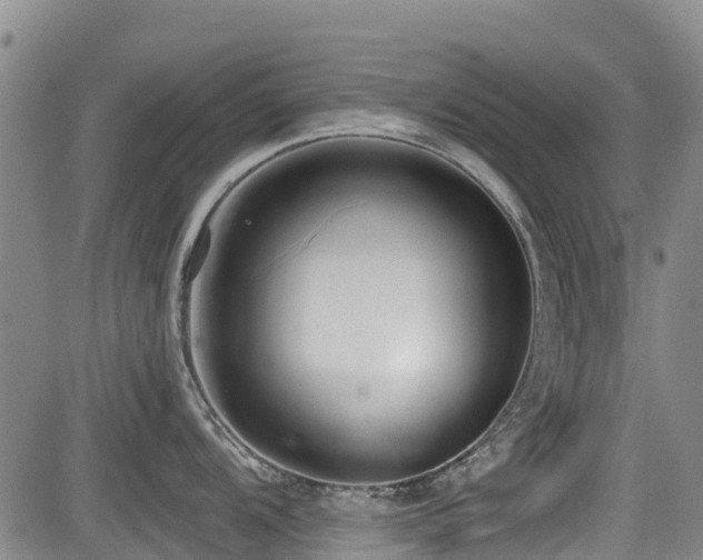 X0000084041104200702161428