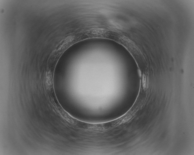 X0000084041107200702161427