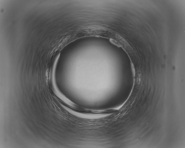 X0000084041108200702161427