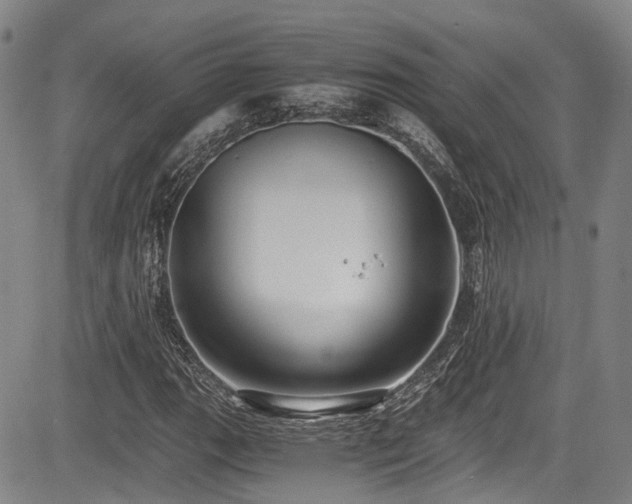 X0000084041111200702161427