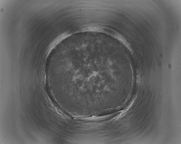 X0000084041117200702161427