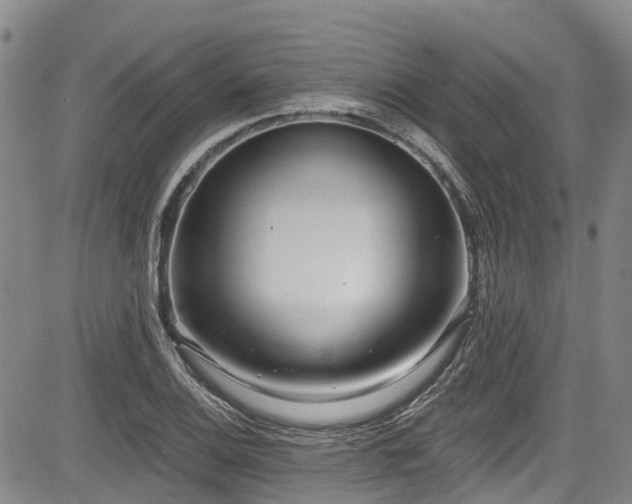 X0000084041124200702161428