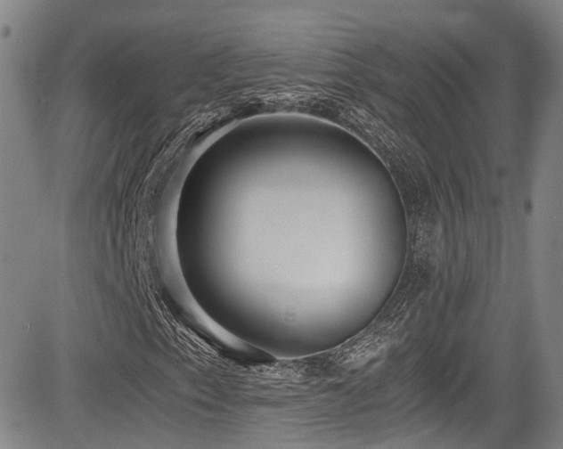 X0000084041153200702161427