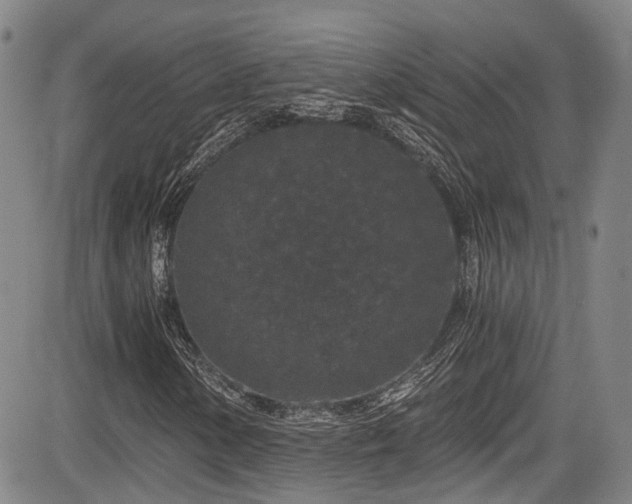 X0000084041154200702161427