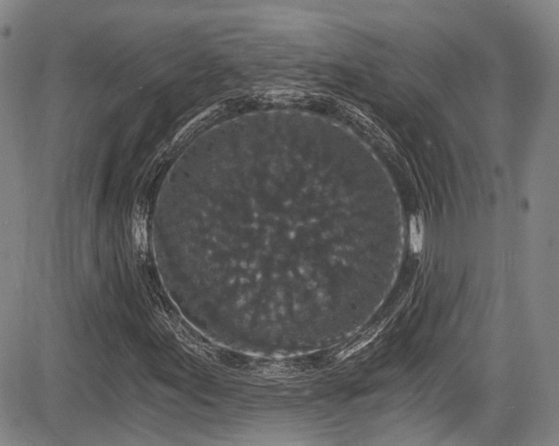 X0000084041155200702161427