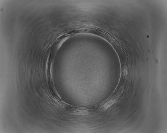 X0000084041156200702161427