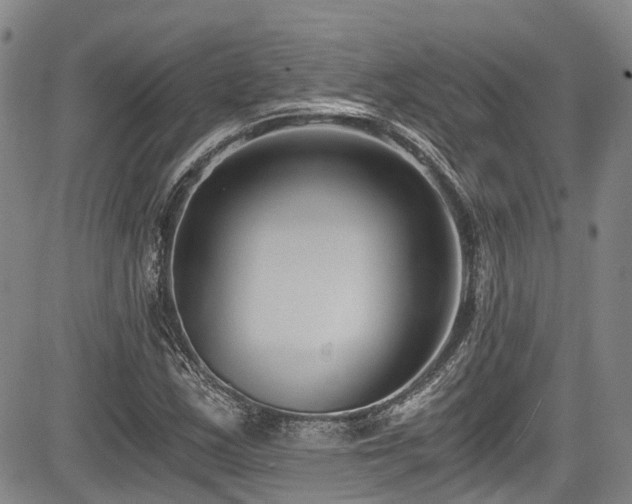 X0000084041163200702161427