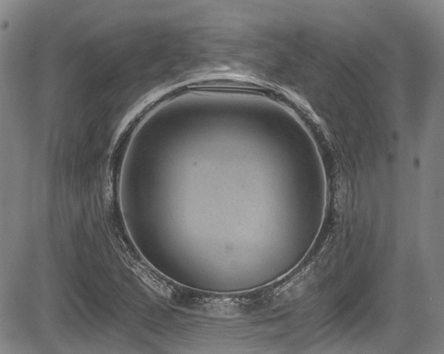 X0000084041167200702161427