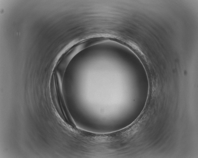 X0000084041181200702161427