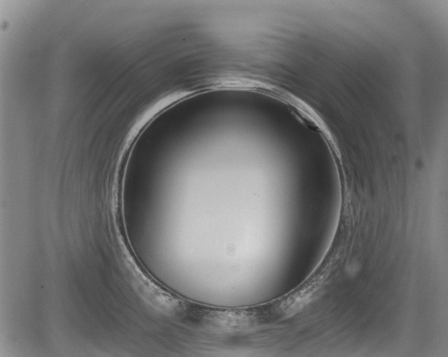 X0000084041195200702161427