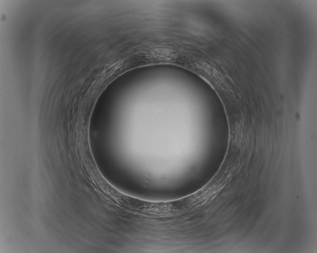X0000084041201200702161426