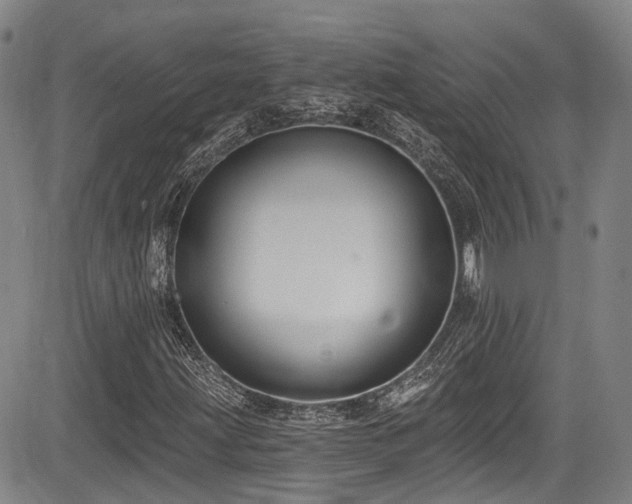 X0000084041203200702161426