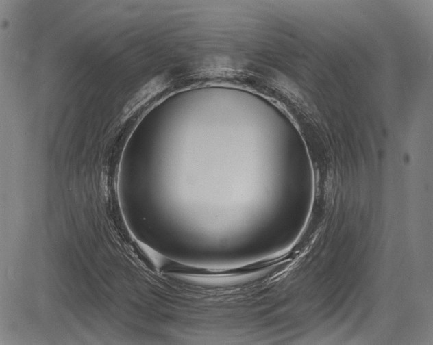 X0000084041209200702161426