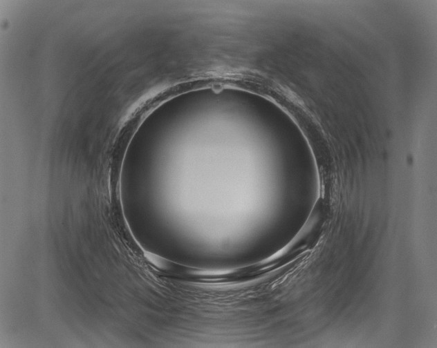X0000084041214200702161426