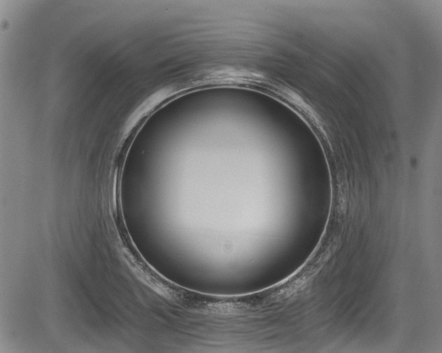 X0000084041227200702161426