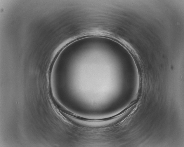 X0000084041238200702161426