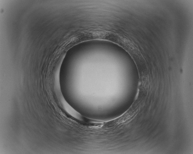 X0000084041249200702161426