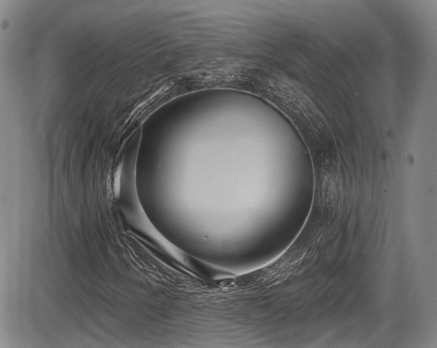 X0000084041250200702161426