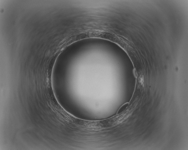 X0000084041252200702161426