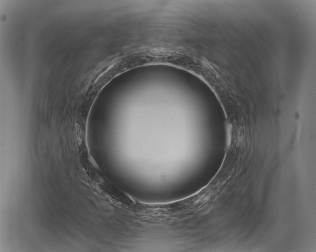 X0000084041253200702161426