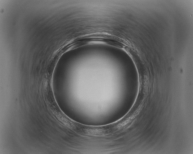 X0000084041257200702161426