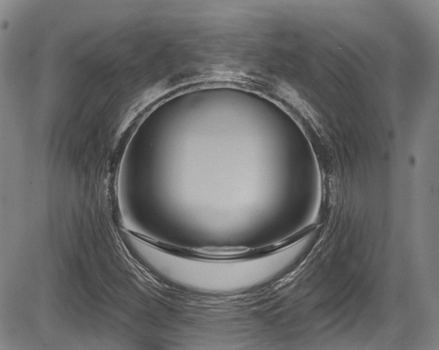 X0000084041260200702161425