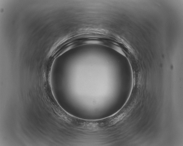 X0000084041261200702161425